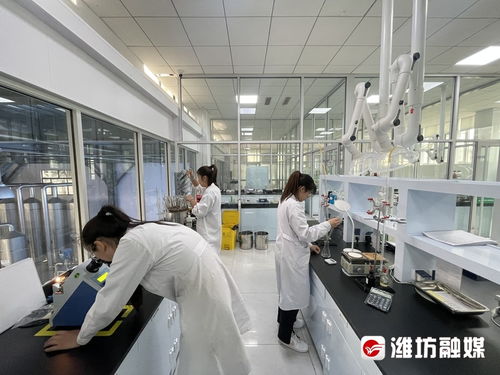 搶風口 布賽道 濰坊諸城以技術開發(fā)為核心，加速生物制造產(chǎn)業(yè)發(fā)展