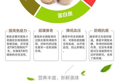 品味福建山珍 富農園特級冬菇，休閑養生新選擇